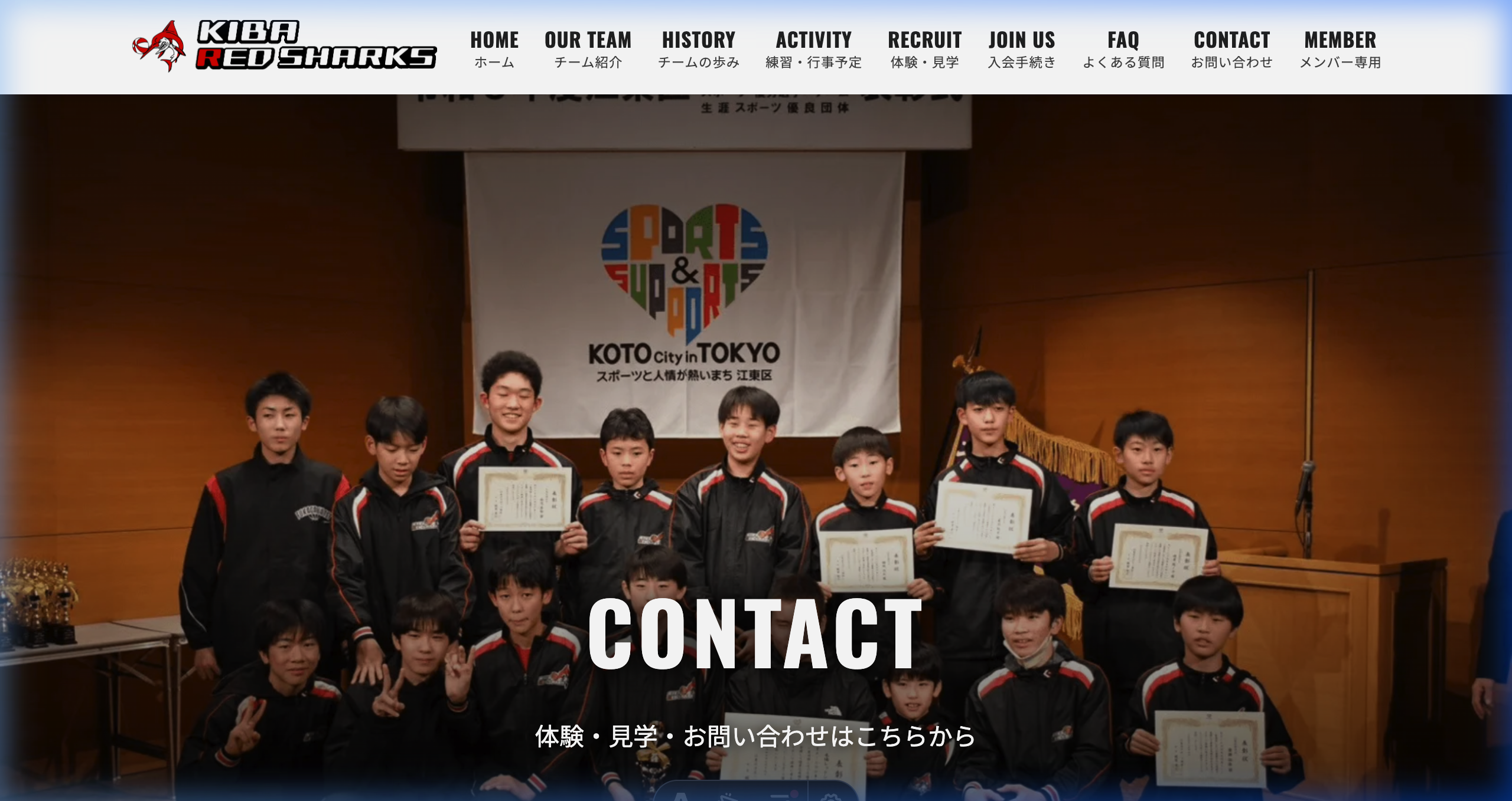 Contact Preview