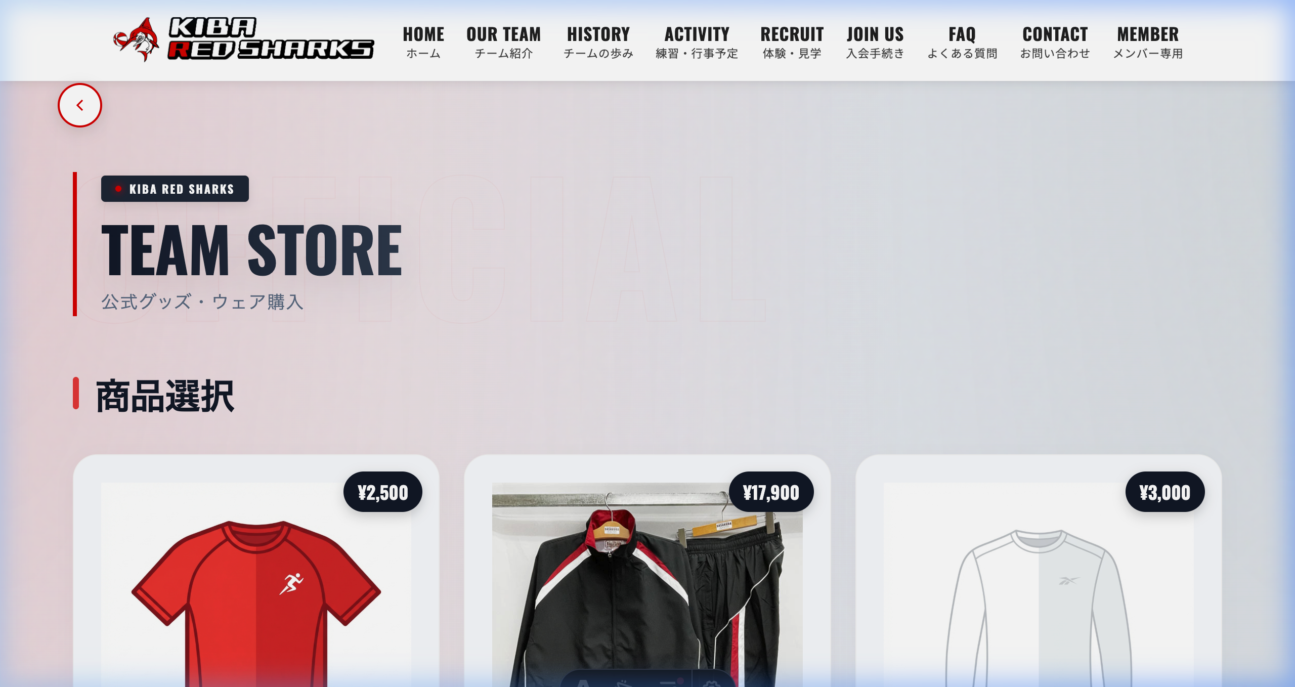 Store Preview